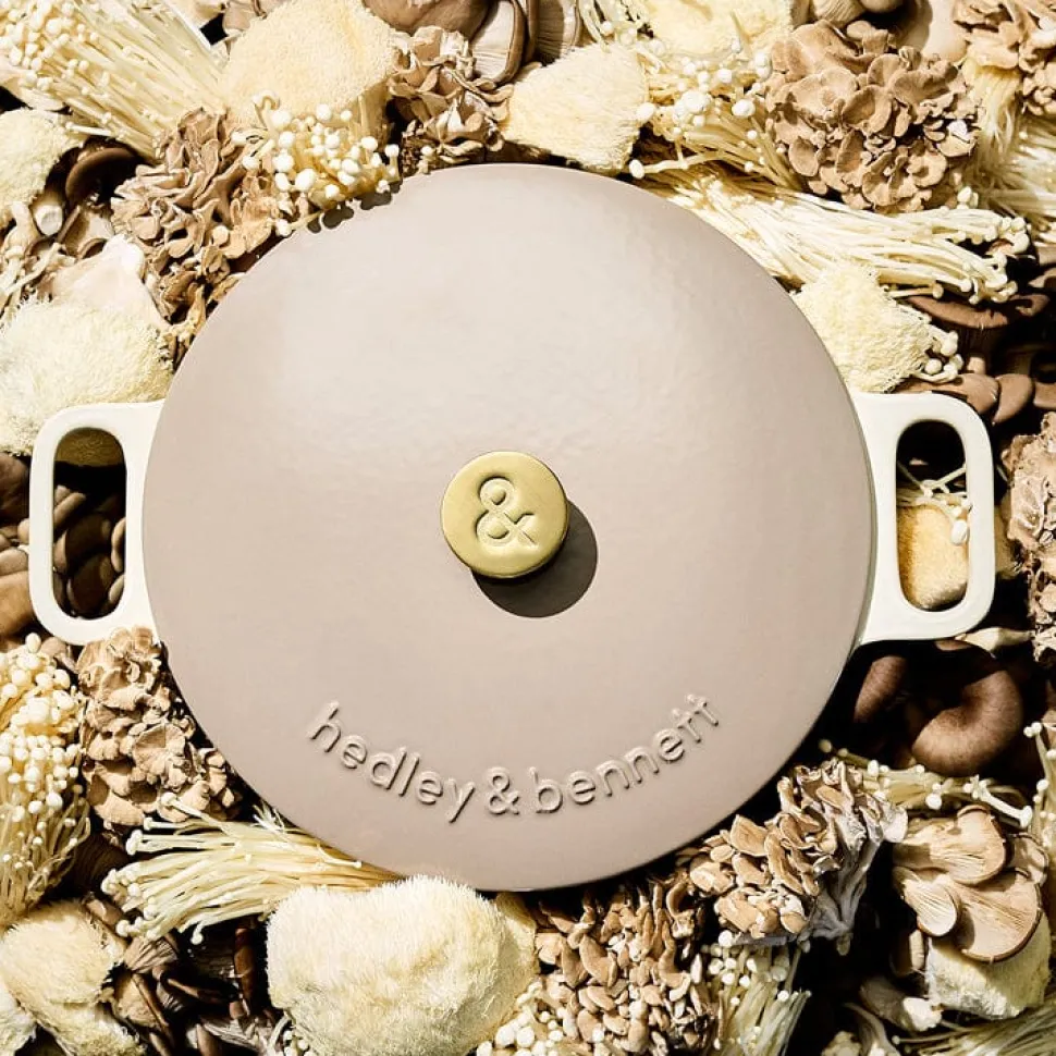 Enameled Cast Iron Dutch Oven