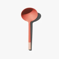 Ladle