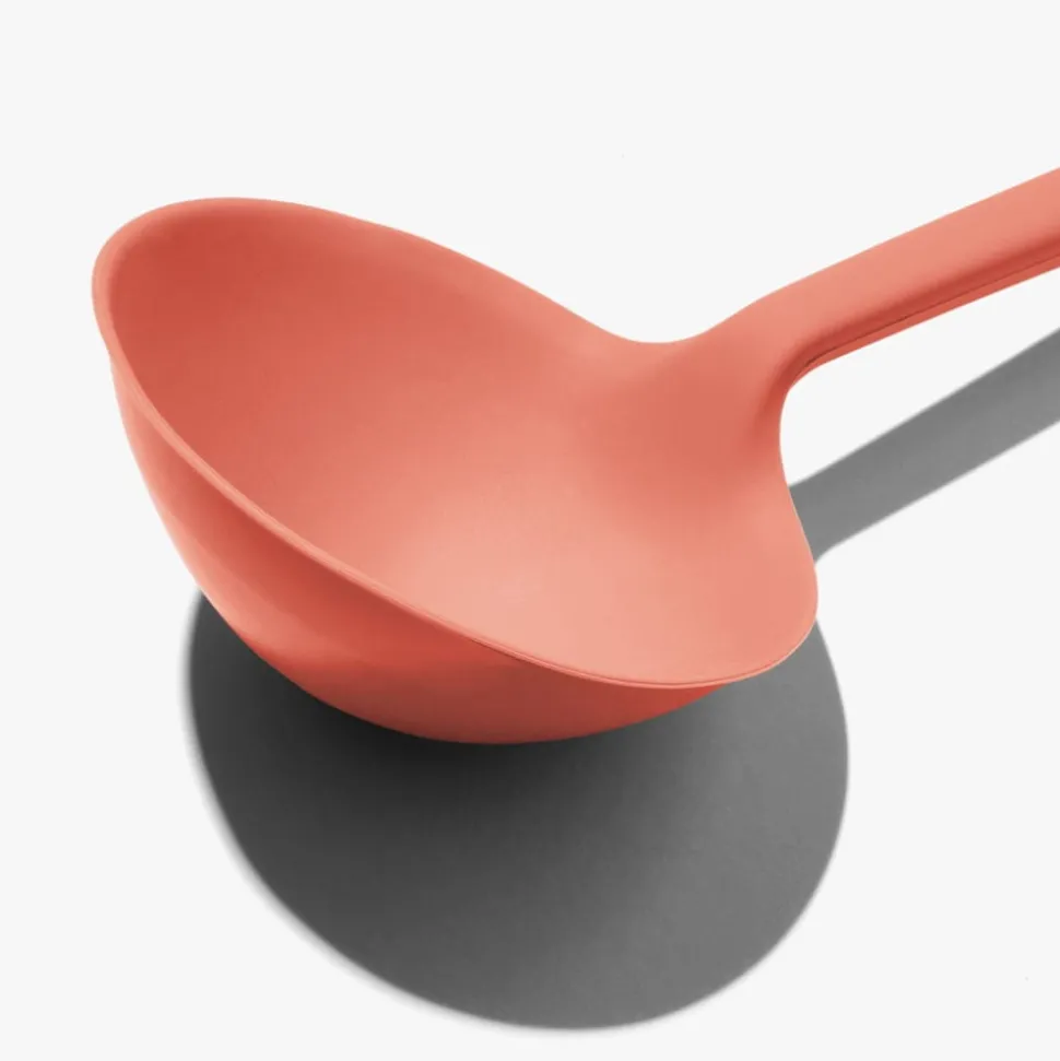 Ladle