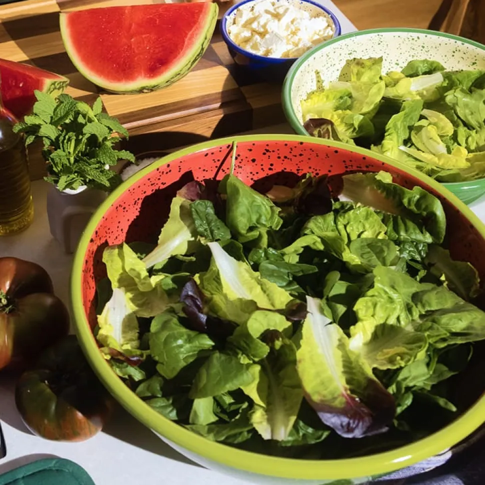 The Very Big Bowl